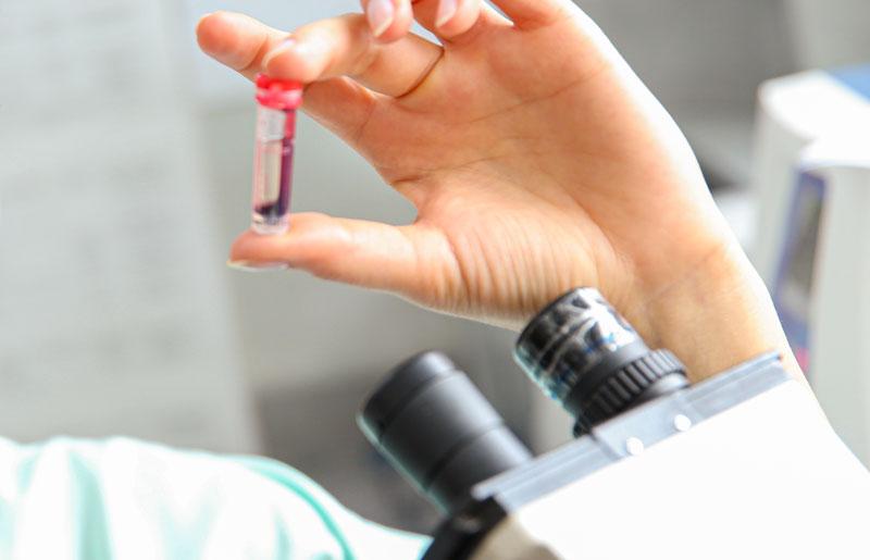 Les babésies peuvent être détectées dans le sang